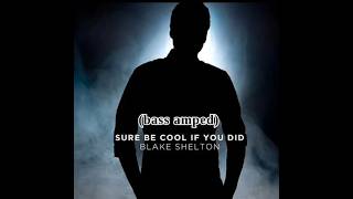 Download lagu Blake Shelton - Sure Be Cool if You Did (bass amp 60%) mp3