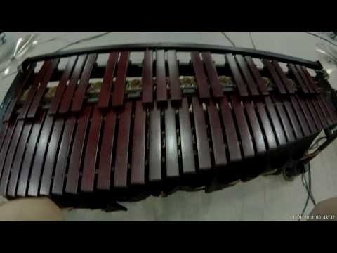 Broken Arrow High School 2018 Center Marimba Cam