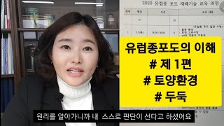 유럽종포도 이해하기#1편 토양환경#  두둑