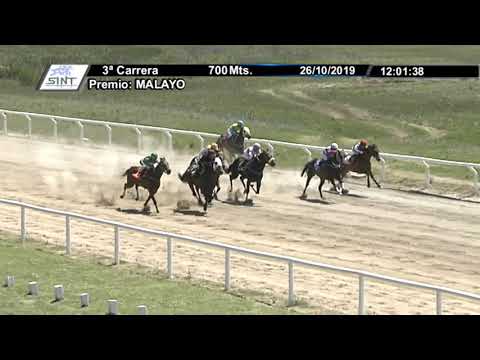 26/10/2019 – Hipodromo Colonia – Carr 3 – MALAYO