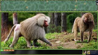 Pixel Puzzles Ultimate ► video № 48◄