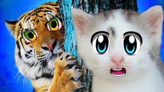 КОШКА МУРКА и ТИГРЫ! LOL SURPRISE А ну-ка Давай-ка в КОРОЛЕВСТВЕ ТИГРОВ! МУЛЬТИК ИГРУШКИ как ПИТОМЦЫ
