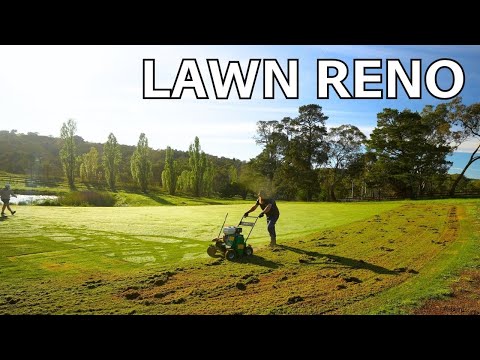 Full Lawn Renovation From Start To Finish