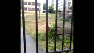 Bright Eyes - Devil Town