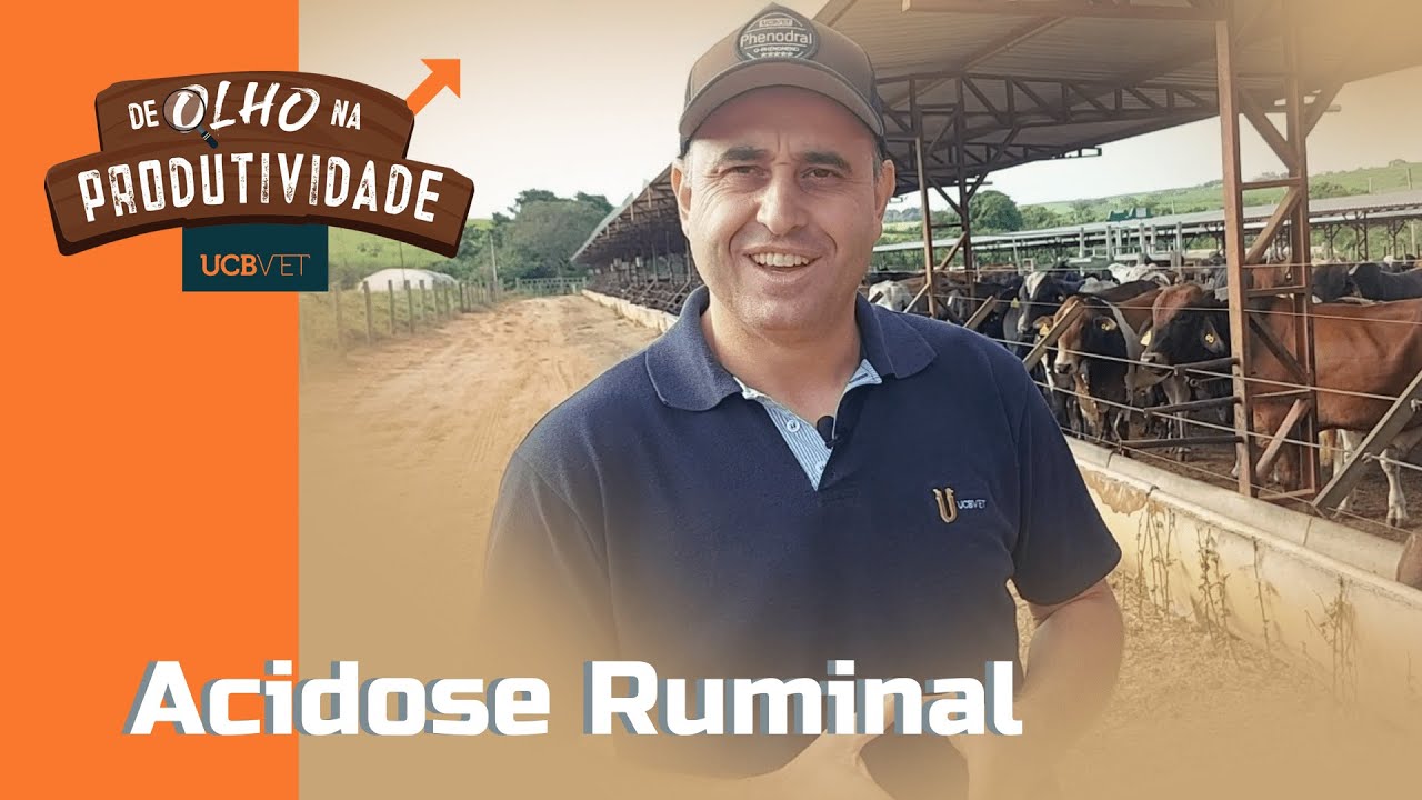 DE OLHO NA PRODUTIVIDADE - ACIDOSE RUMINAL