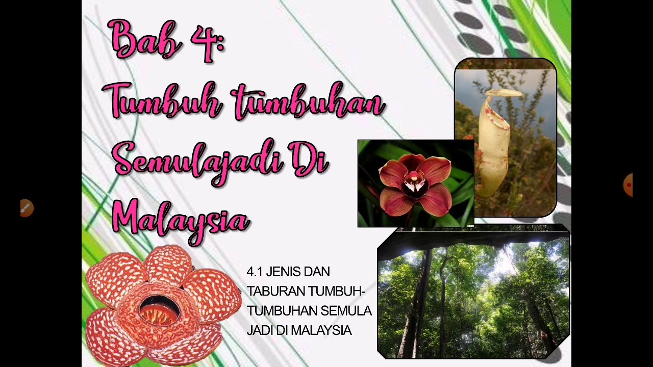 Jenis & Taburan Tumbuh-tumbuhan