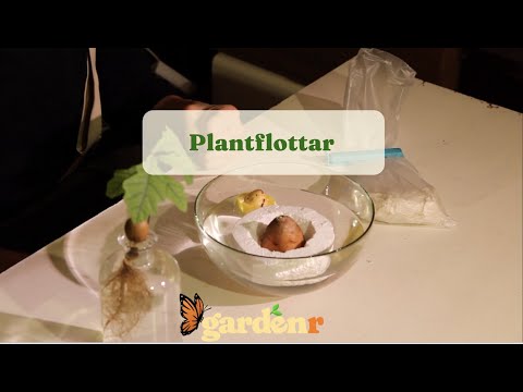 Plant rafts - Gardenhacks by GardenR