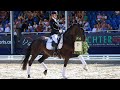 Hildegard Placed 9th On BuCha 2024