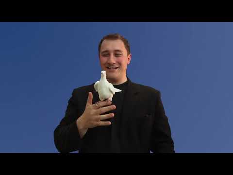 Funny Crew LLC video.