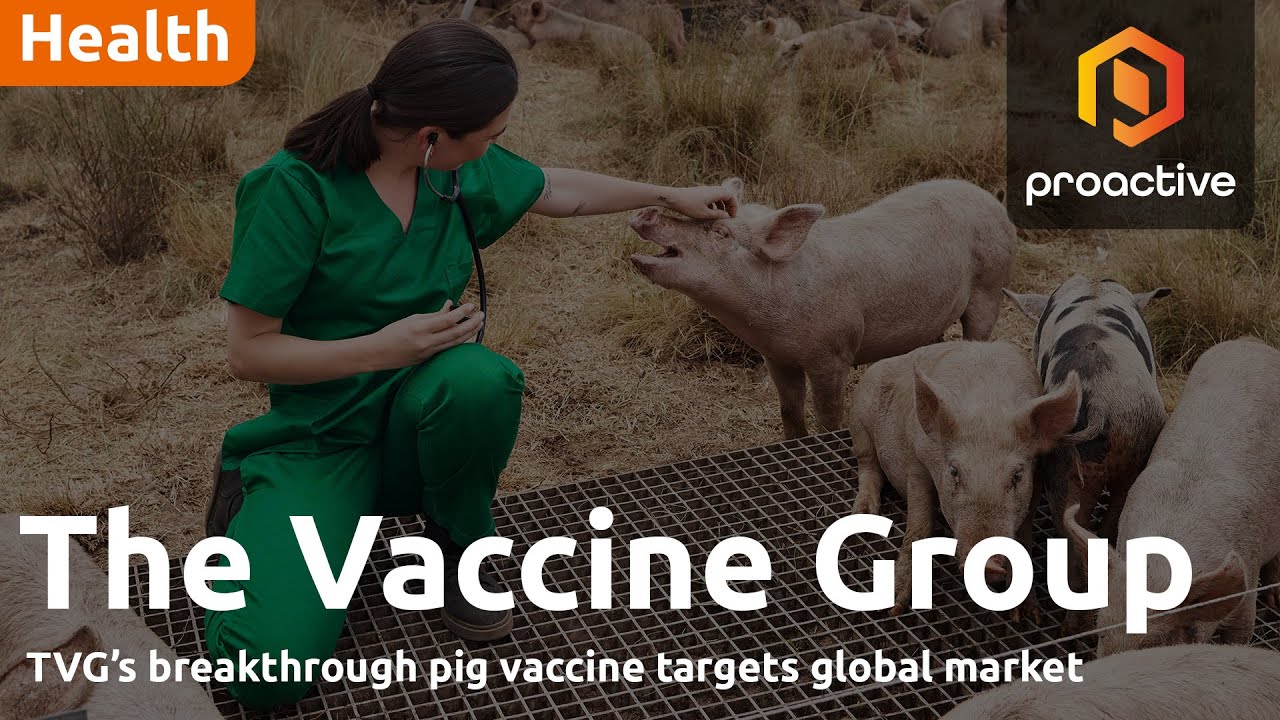 The Vaccine Group teams up with animal health giant Syva on breakthrough pig vaccine