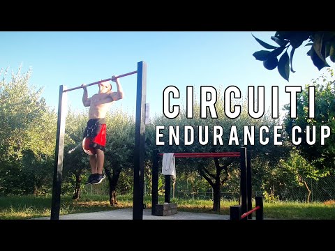 PROVA CIRCUITI ENDURANCE CUP 2023 - TEST DI RESISTENZA