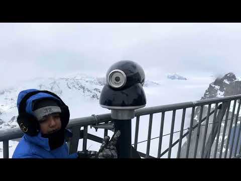 Titlis in the Wild: Nature’s Living Jewels