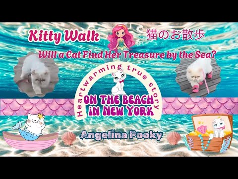 Kitty Walk on the beach in  New York 😽 #cats #cat #catvideos #catlovers #猫 #猫のいる暮らし #catwalk