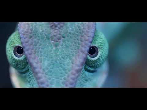 ЯE na kanale 3/4 UDGS