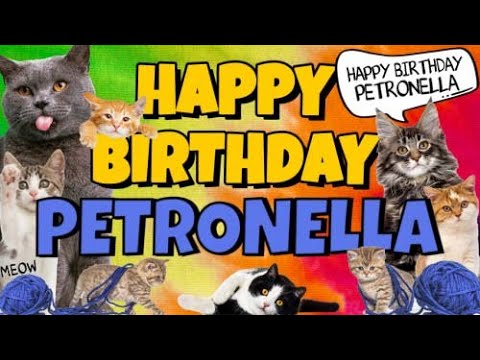 Happy Birthday Petronella! Crazy Cats Say Happy Birthday Petronella (Very Funny)