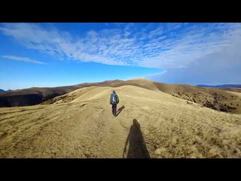 MUNTII BAIULUI(DE LA PISCUL CAINELUI LA CULMEA ZAMORA,DECEMBRIE 2022)