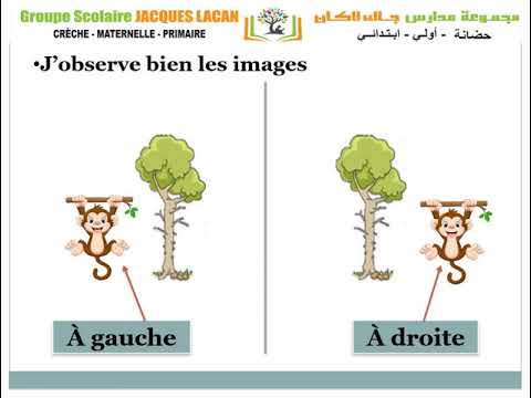 MS A activité sensorielle à gauche à droite