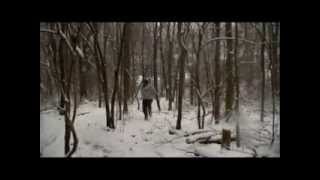 Carol of the Bells - Robert Shaw Chorale