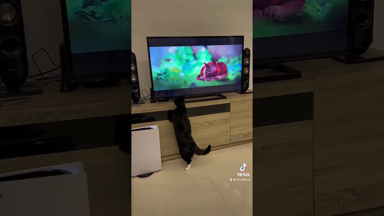 export 1665754849393