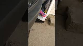 replacing the rear ABS cable on a 2011 Kia Sorento.