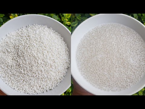 Easy Tapioca Pearls Recipe | How to make Tapioca pearls | Boba pearl recipes