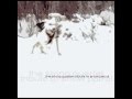 How To Be Dead - Vitamin String Quartet Performs Snow Patrol