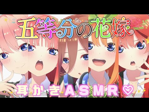 【ASMR : 睡眠用】本日(5/5)は5つ子ちゃんのお誕生日  花嫁たちが ...