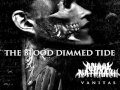Anaal Nathrakh - The Blood-Dimmed Tide Video