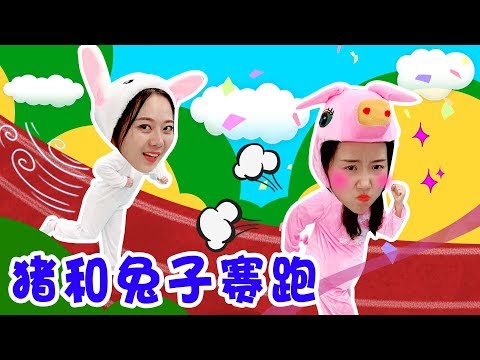 豬和兔子