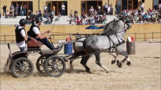 preview picture of video 'Feira do Cavalo de Cabeceiras de Basto - 25 e 26 de Maio 2013'