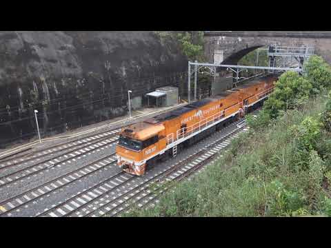 NR30 / NR31 with the Great Southern - 28/1/20