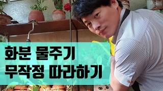 화분 물주기 무작정 따라하기