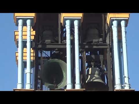 Le campane di Torino - Chiesa di Nostra Signora del Suffragio - Video n° 68