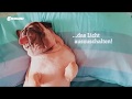 Licht Ausschalten Vom Sofa Aus Geht Das Conrad