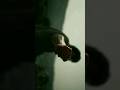 SALAAR X PRABHAS EDIT 4K Prabhas Salaarteaser Trendingshorts
