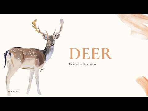 Time-lapse Deer | Ammi Artistic