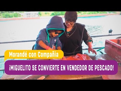 Miguelito se convierte en vendedor de pescado - Morandé con Compañía 2016