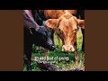 Swallow My Gift/Farm Noises/ (Folsom Prison Blues ...