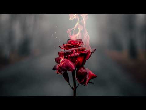 TiiHerts - Su silmist ma loen