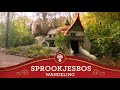 Wandeling door het Sprookjesbos ? - Geniet thuis van de Efteling