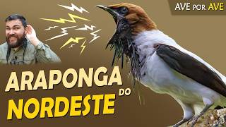 Miniatura do vídeo
