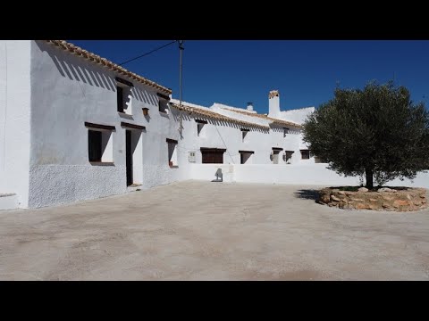 video image