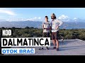 Kod DALMATINCA Na Veceri Otok BRAC