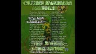12- Ziggi Recado - Meditation Medley (Chalice Sound System Mixtape, Chalice Warriors vol.3)