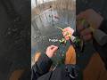 Ice Fishing A Pond That Holds GIANT Bass