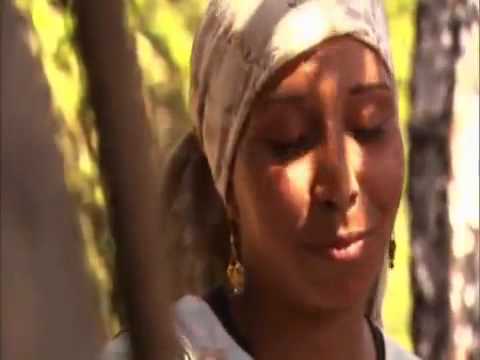 Faith Lessons Volume 9: Fire on the Mountain Group Bible Study - Promo