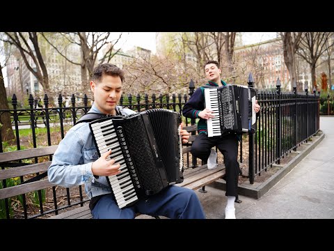 SHAPE OF YOU | accordionduo con:trust