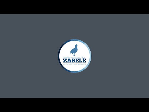 Reuniao Plenaria. 24/08/2026 - Câmara Municipal de Zabelê PB está ao vivo!