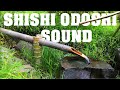 10Hours of Shishi Odoshi Sound in Japanese Zen Garden - Traditional Japanese Bamboo Fountain sound