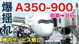 【爆揺れ】　JAL A350-900  那覇➡︎羽田　ずっと揺れてて機内サービス無し＆トイレ難民